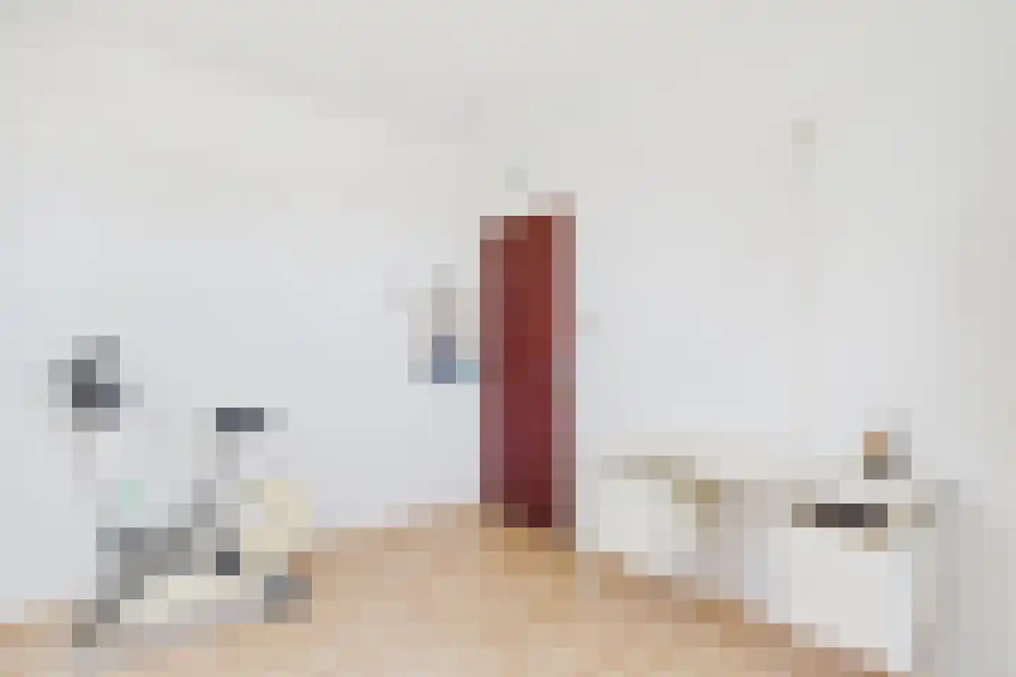 Janseniuslaan 56 Hulst thumbnail 24