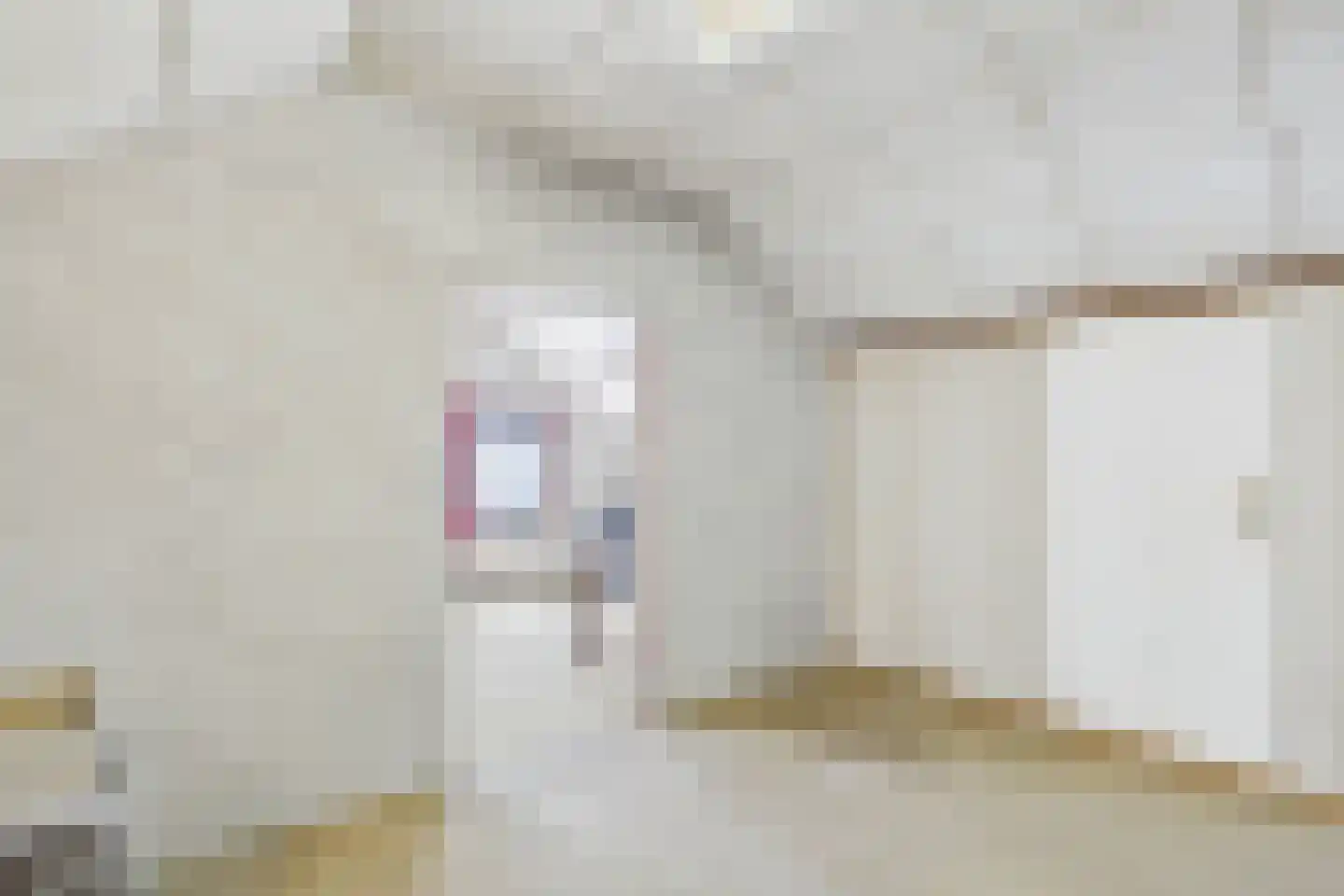 Janseniuslaan 56 Hulst thumbnail 26