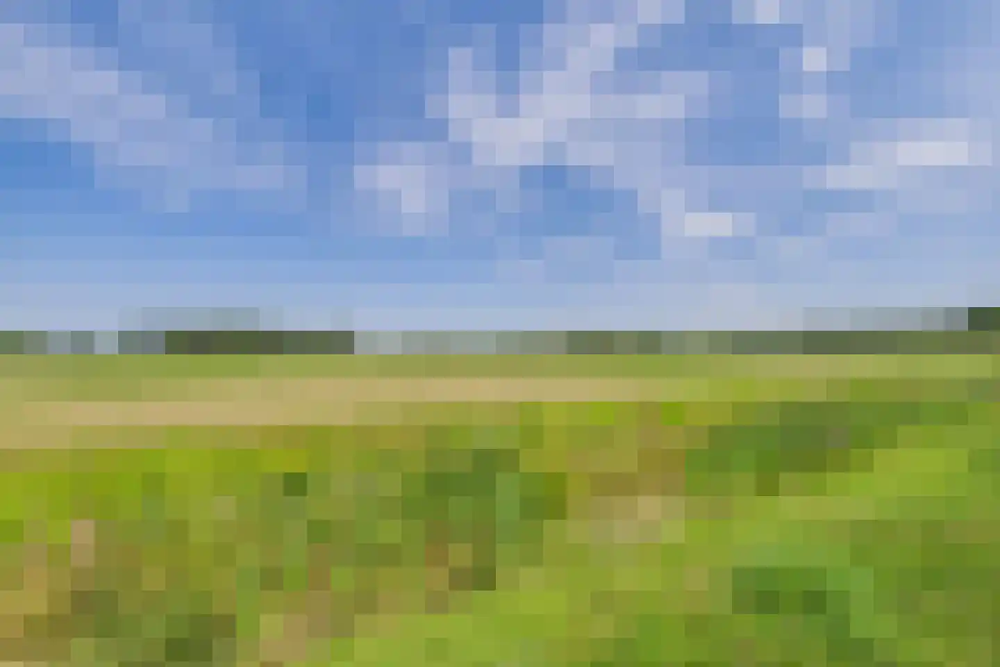 Janseniuslaan 56 Hulst thumbnail 29