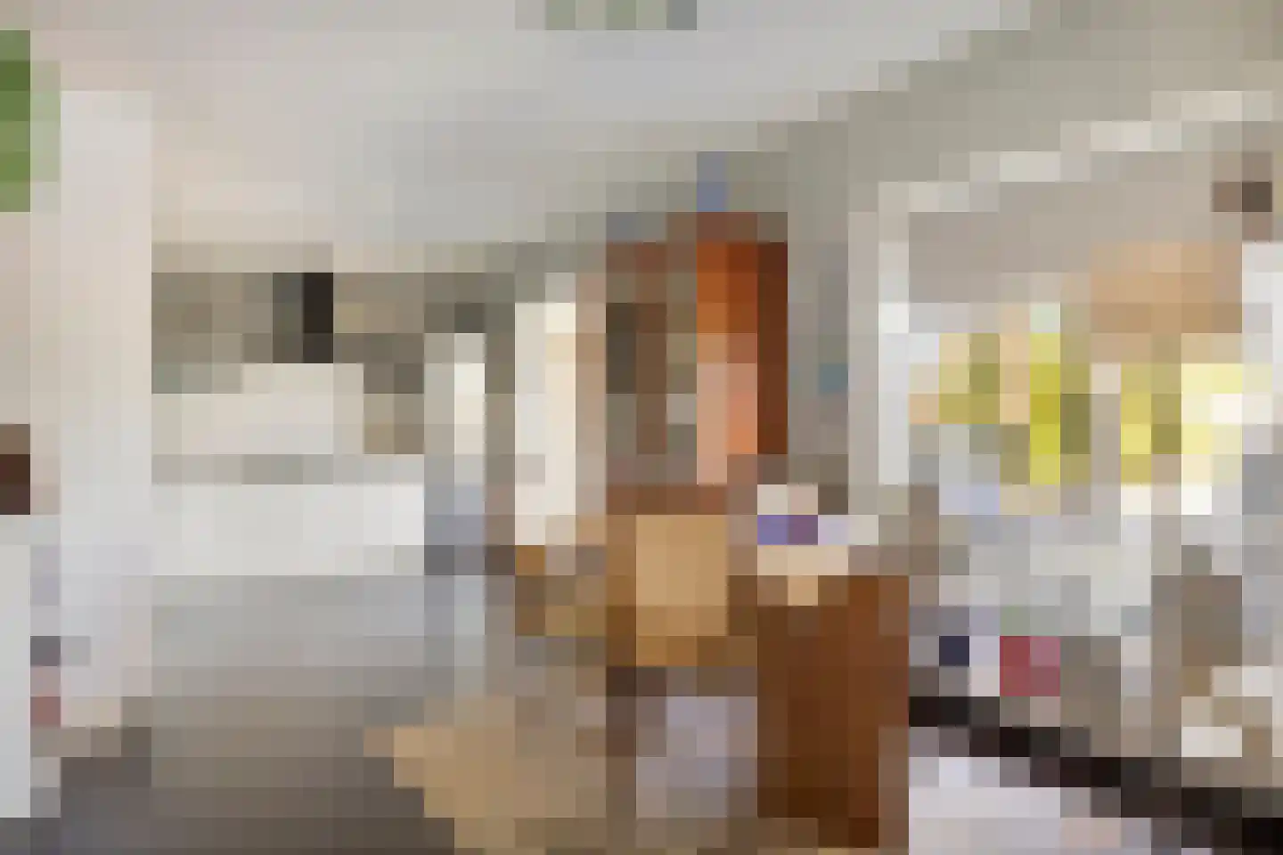 Janseniuslaan 70 Hulst thumbnail 17