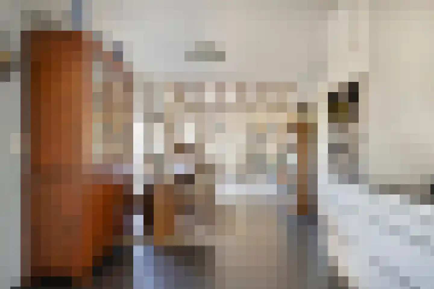 Janseniuslaan 70 Hulst thumbnail 18