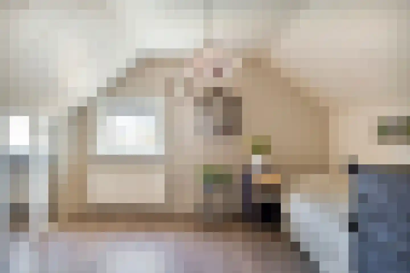 Janseniuslaan 70 Hulst thumbnail 34