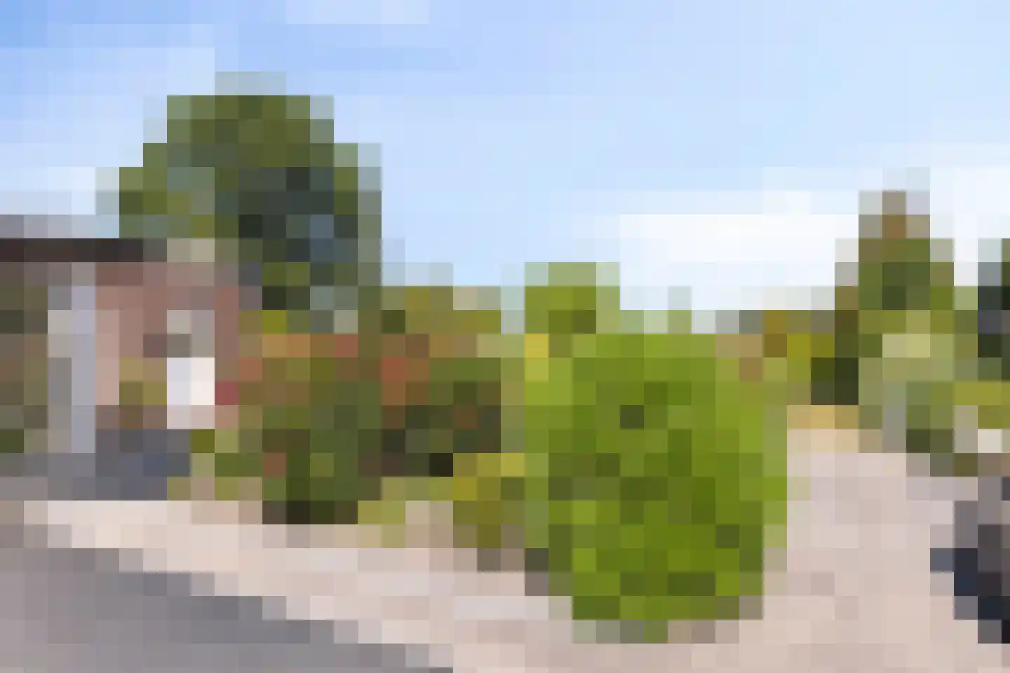 Janseniuslaan 70 Hulst thumbnail 37
