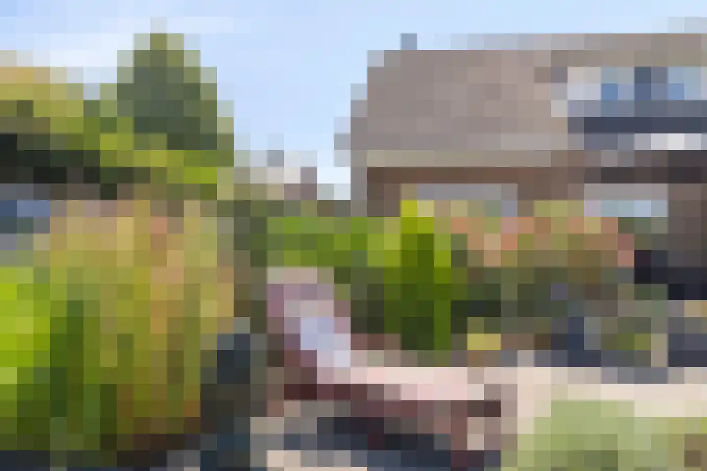 Janseniuslaan 70 Hulst thumbnail 42