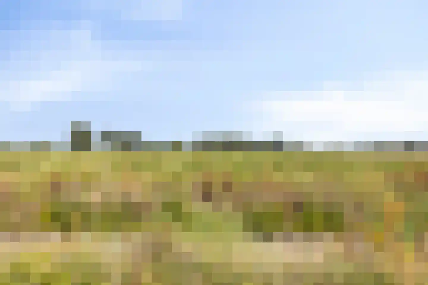 Janseniuslaan 70 Hulst thumbnail 43
