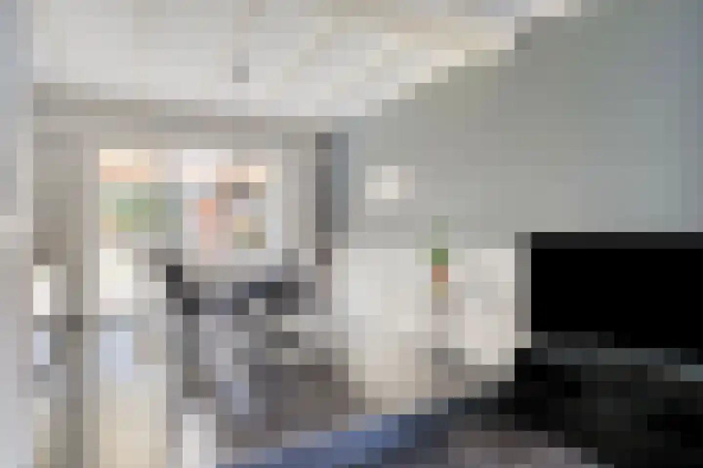 Janseniuslaan 83 Hulst thumbnail 16