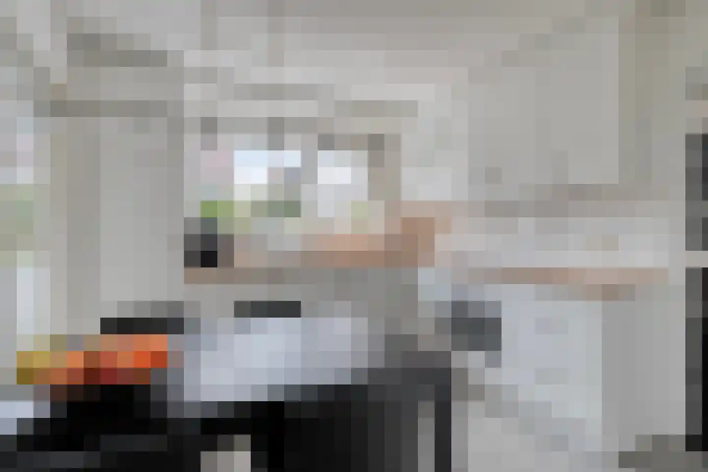 Janseniuslaan 83 Hulst thumbnail 4