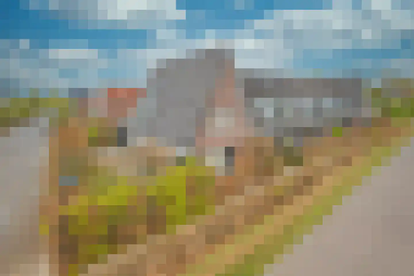 Jansgoed 14 Putten