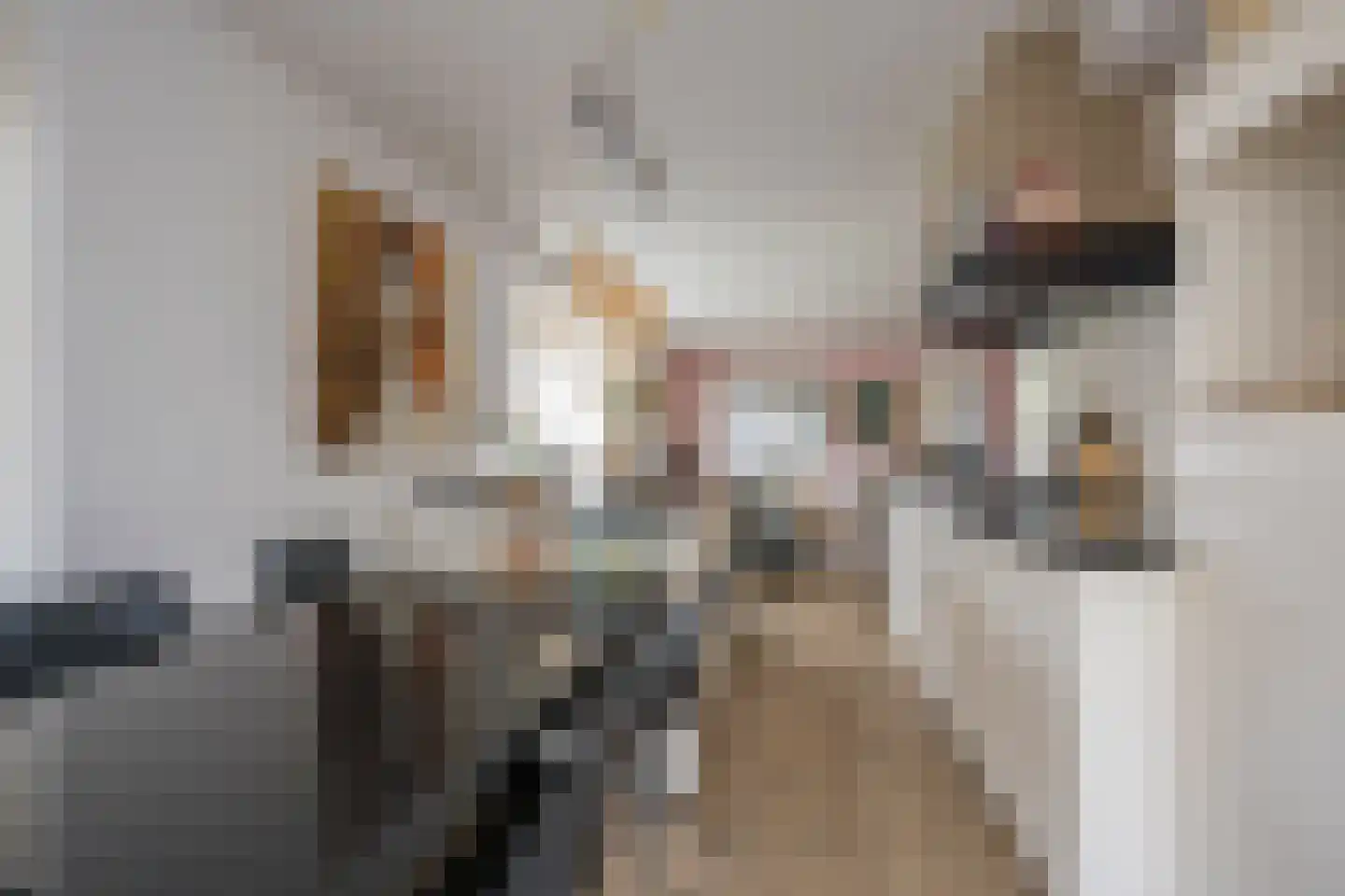 Jansgoed 14 Putten thumbnail 10