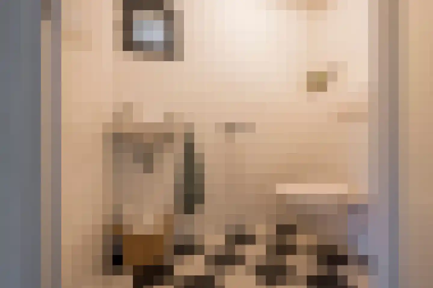 Jansgoed 14 Putten thumbnail 12