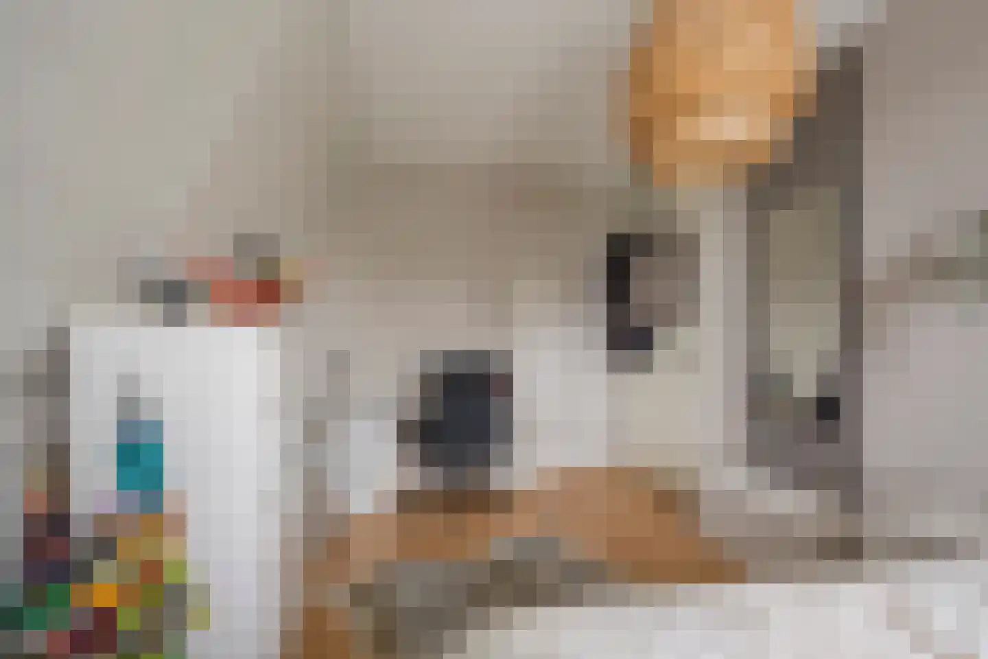 Jansgoed 14 Putten thumbnail 16