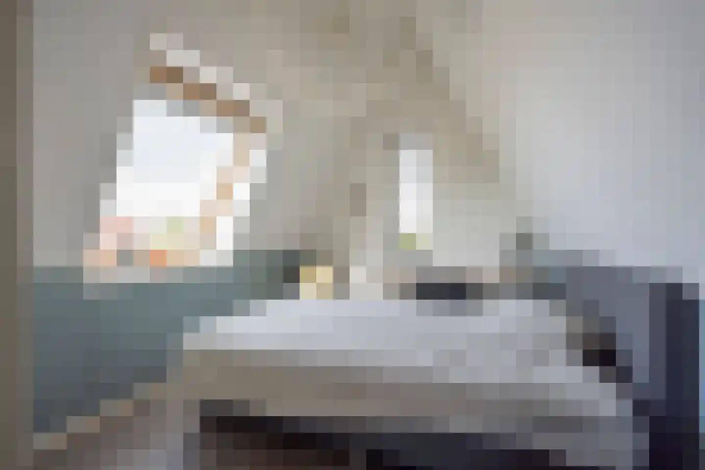 Jansgoed 14 Putten thumbnail 23