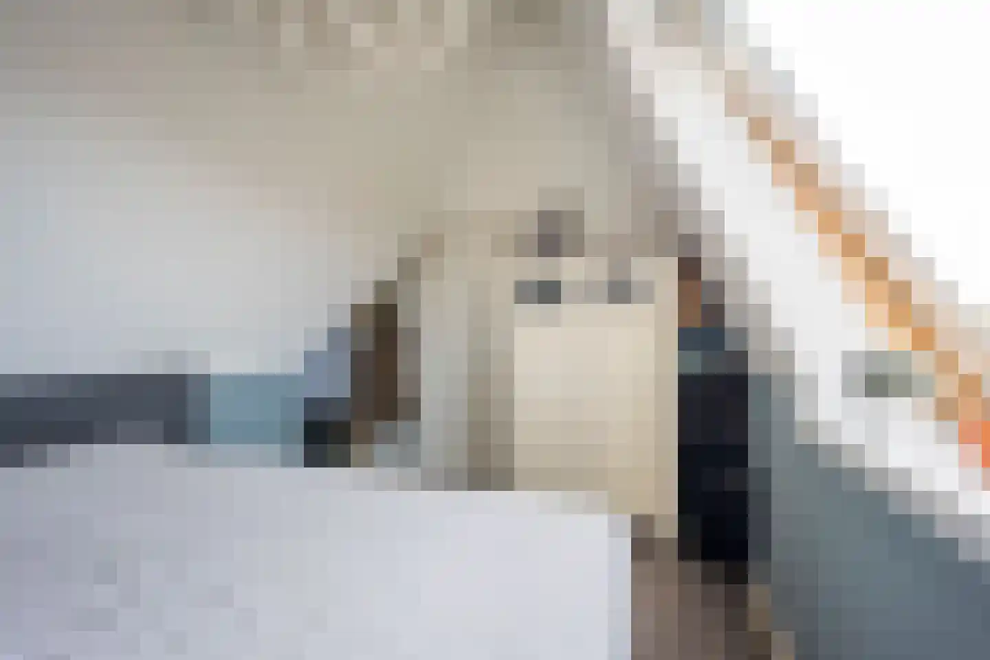 Jansgoed 14 Putten thumbnail 24