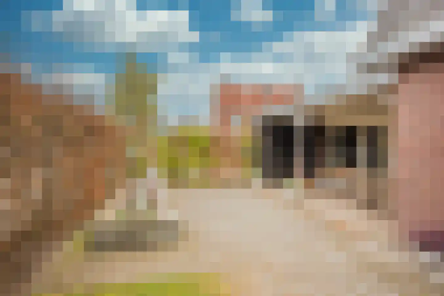 Jansgoed 14 Putten thumbnail 27