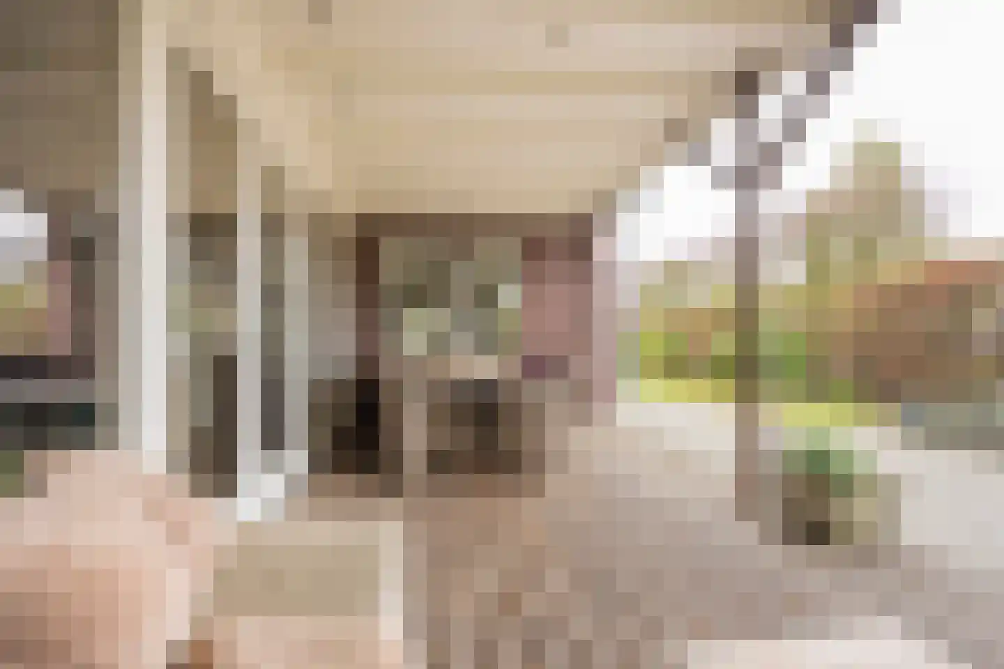 Jansgoed 14 Putten thumbnail 28