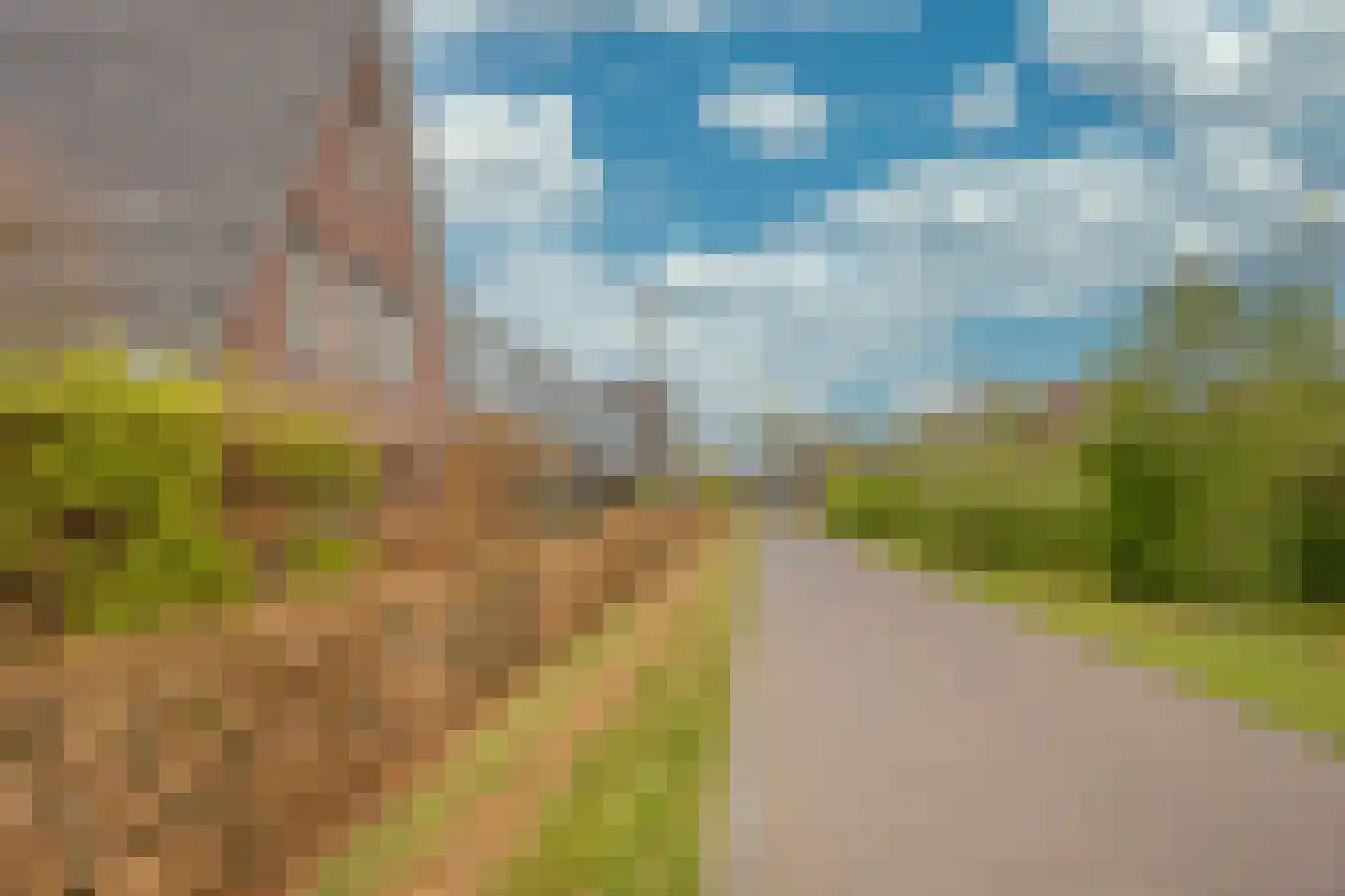 Jansgoed 14 Putten thumbnail 29