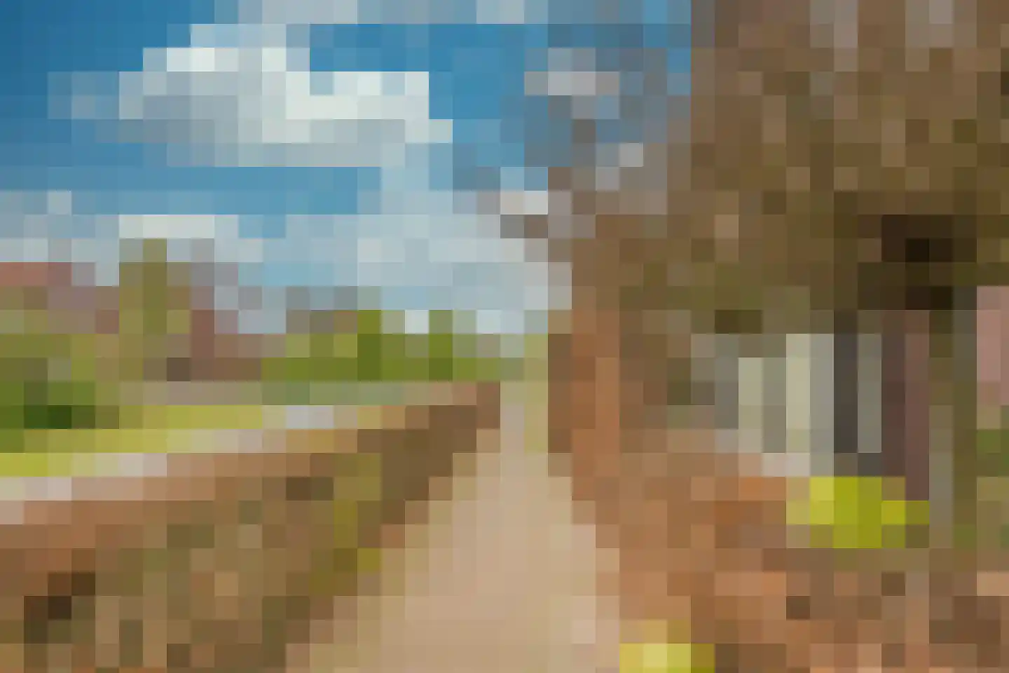 Jansgoed 14 Putten thumbnail 30