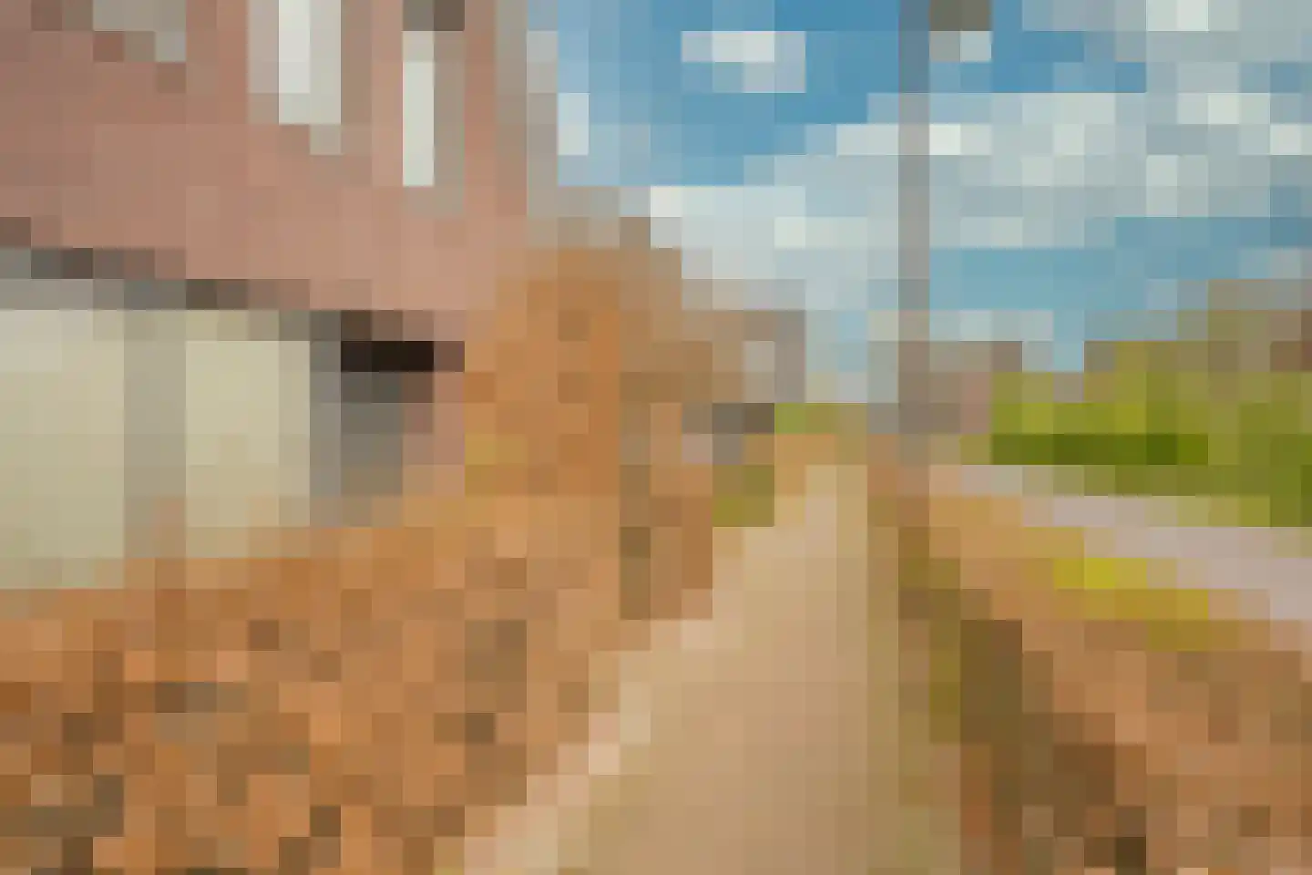 Jansgoed 14 Putten thumbnail 31