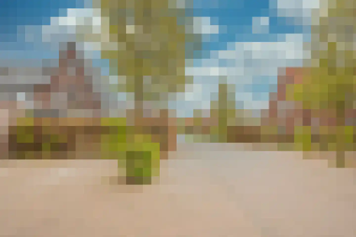 Jansgoed 14 Putten thumbnail 34