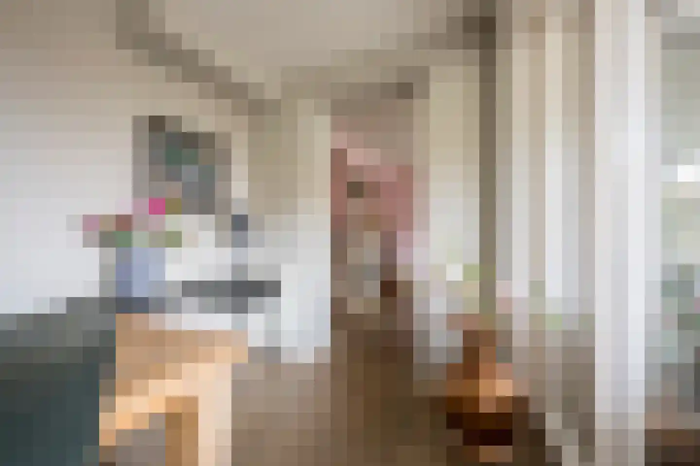 Jansgoed 14 Putten thumbnail 6