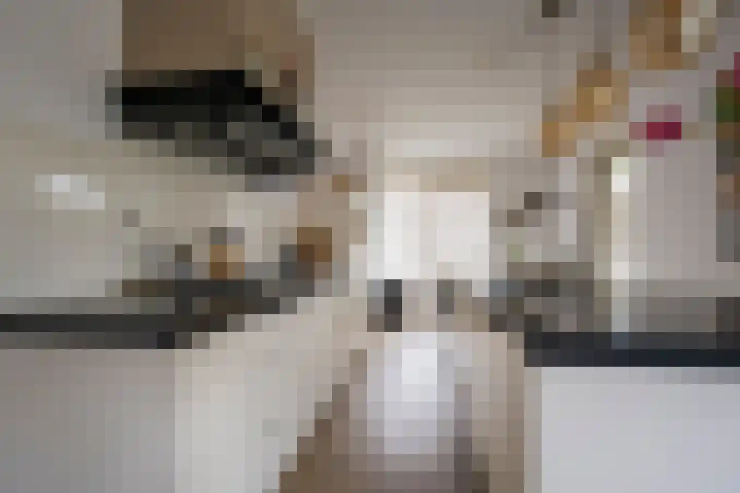 Jansgoed 14 Putten thumbnail 9