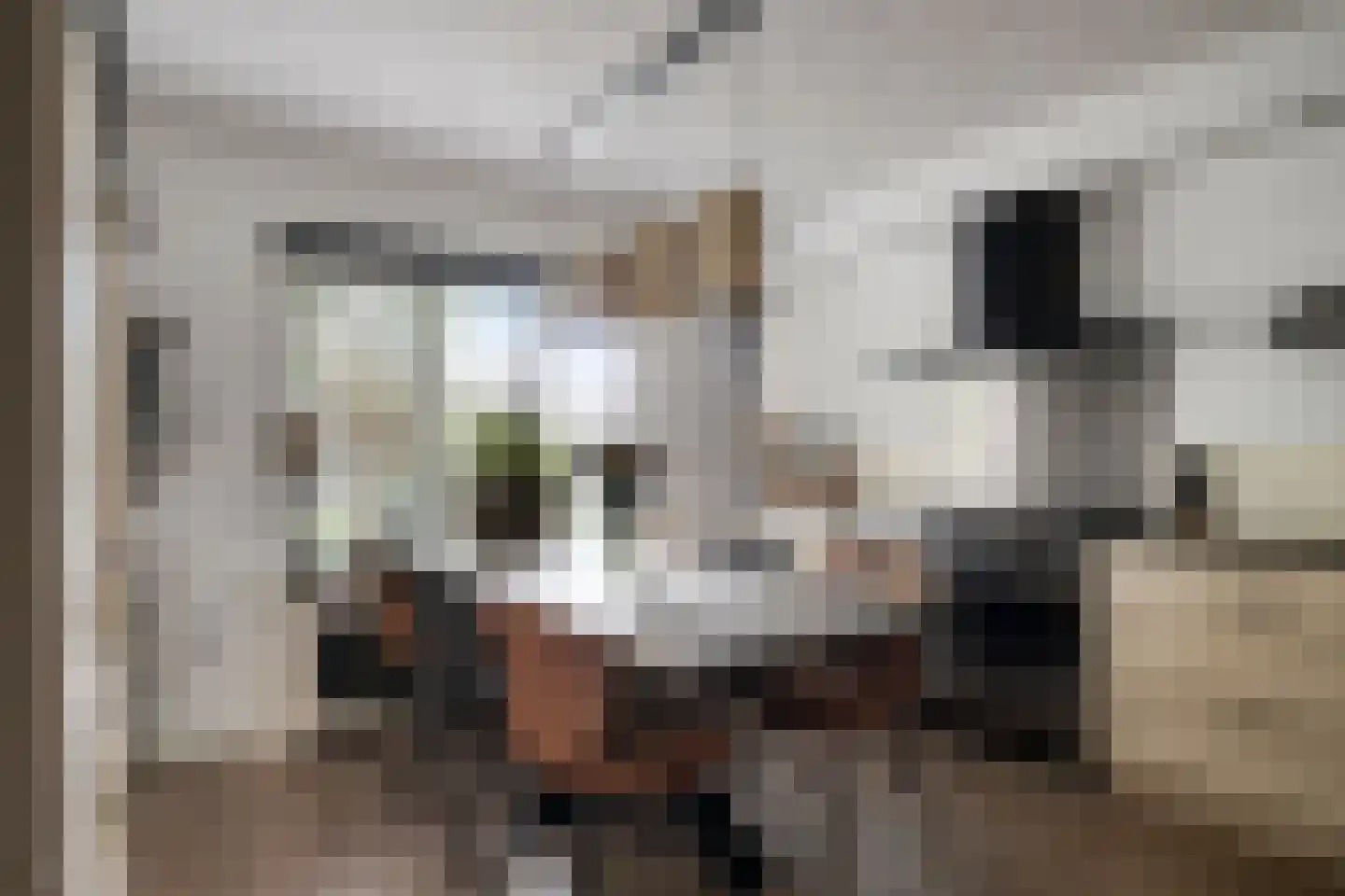 Jansgulden 2 Dronten thumbnail 11