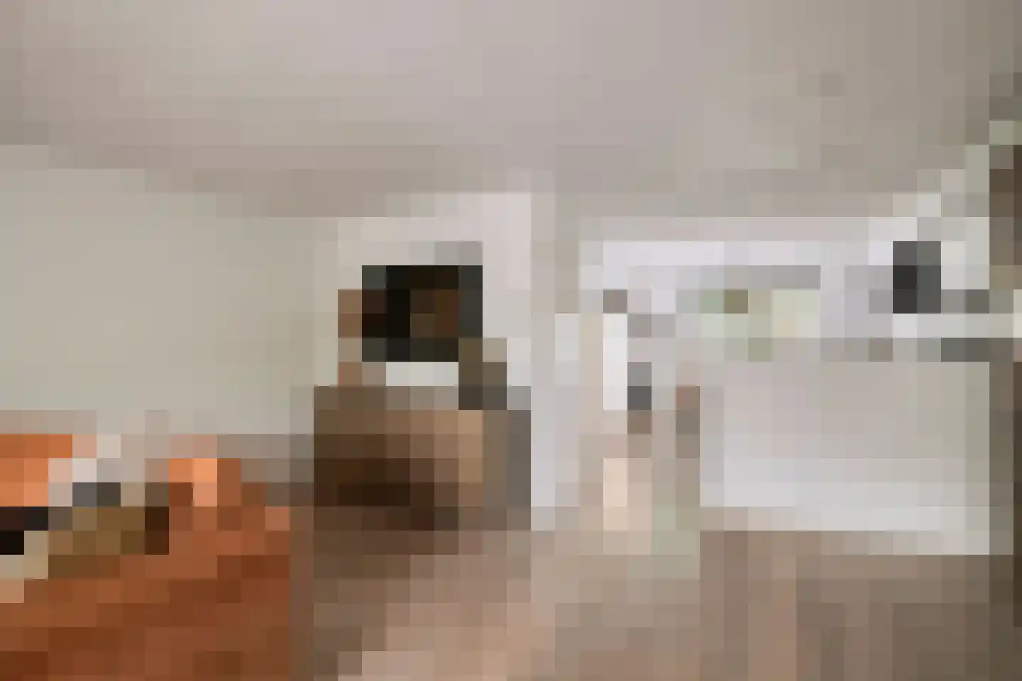 Jansgulden 2 Dronten thumbnail 15
