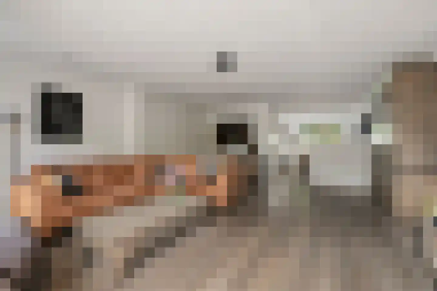 Jansgulden 2 Dronten thumbnail 16