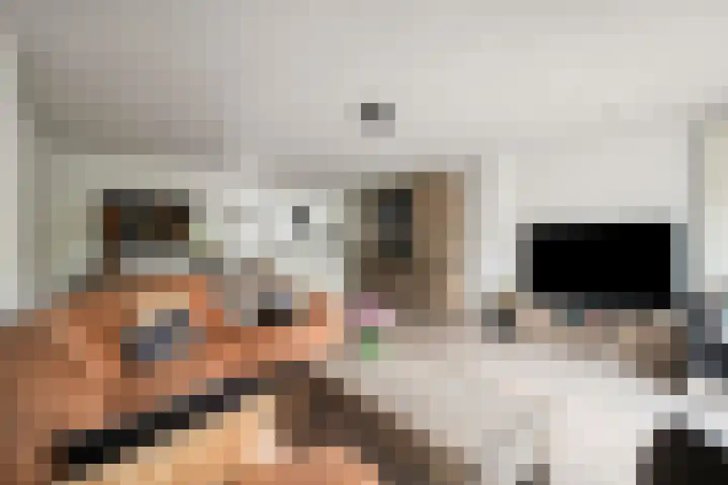 Jansgulden 2 Dronten thumbnail 18