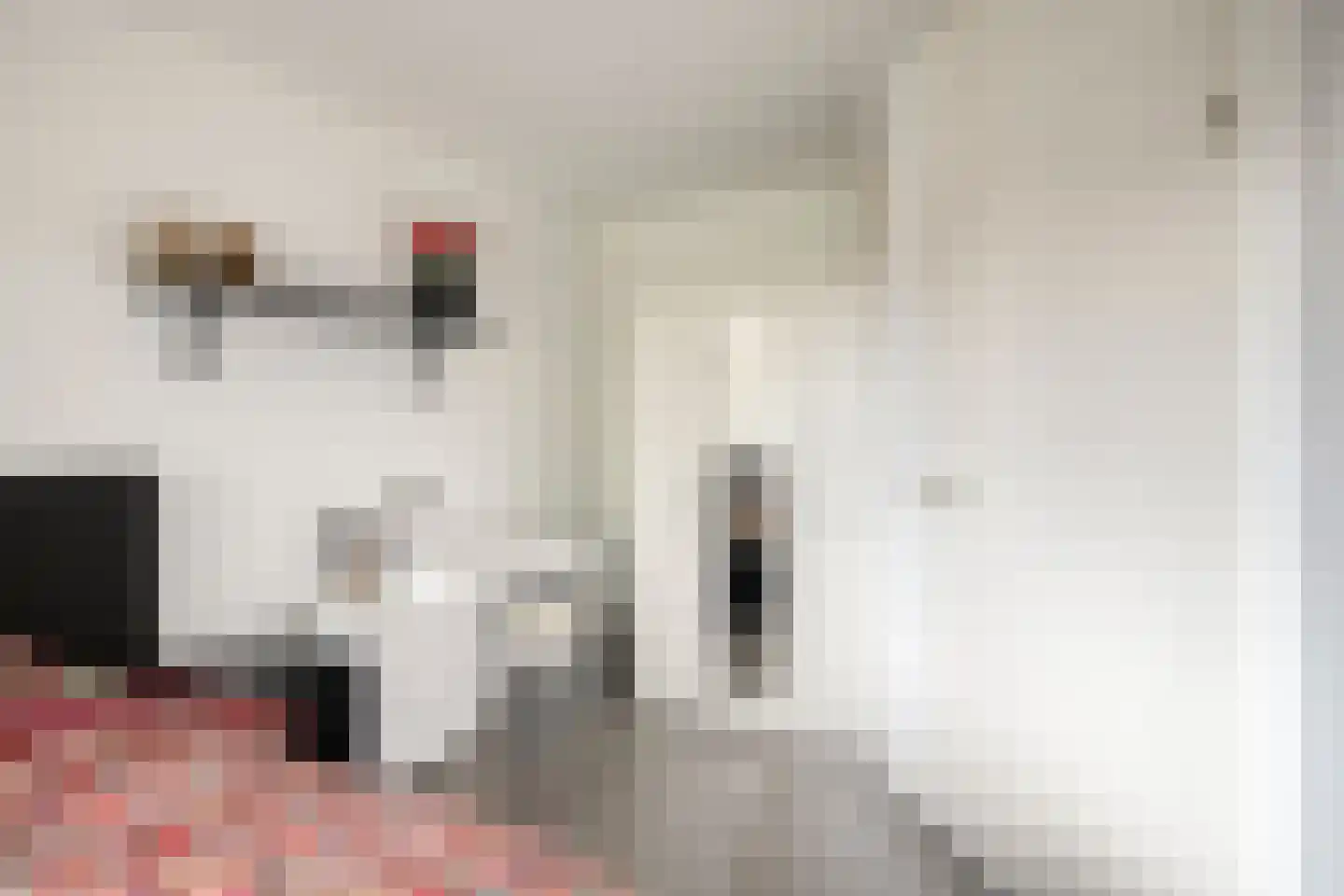 Jansgulden 2 Dronten thumbnail 24