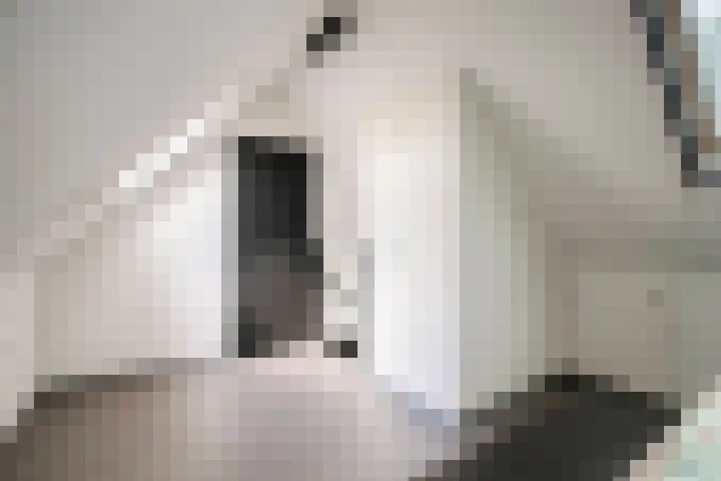 Jansgulden 2 Dronten thumbnail 30