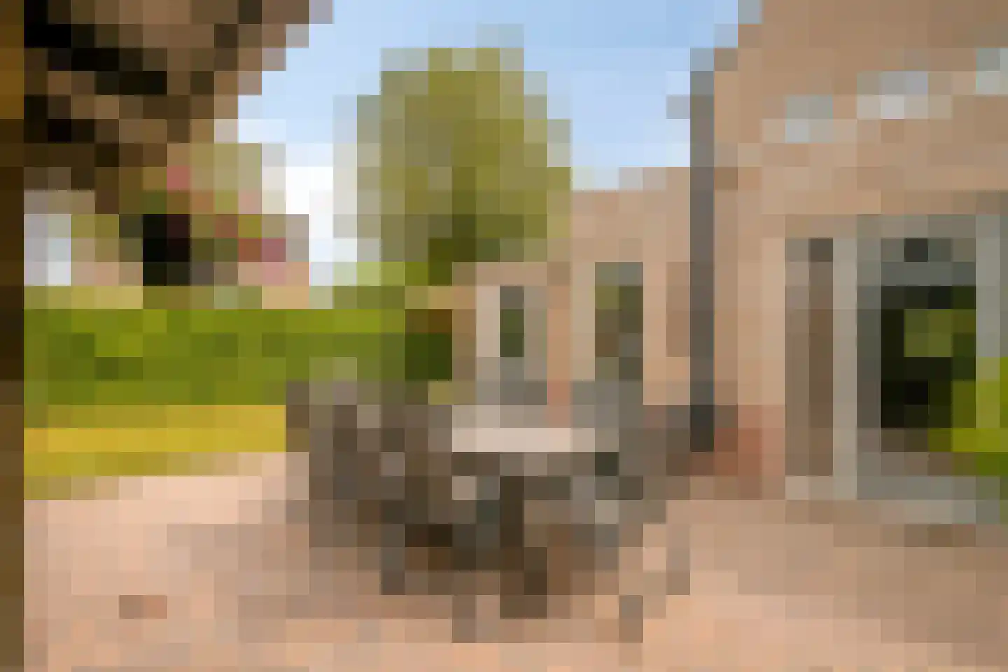 Jansgulden 2 Dronten thumbnail 33