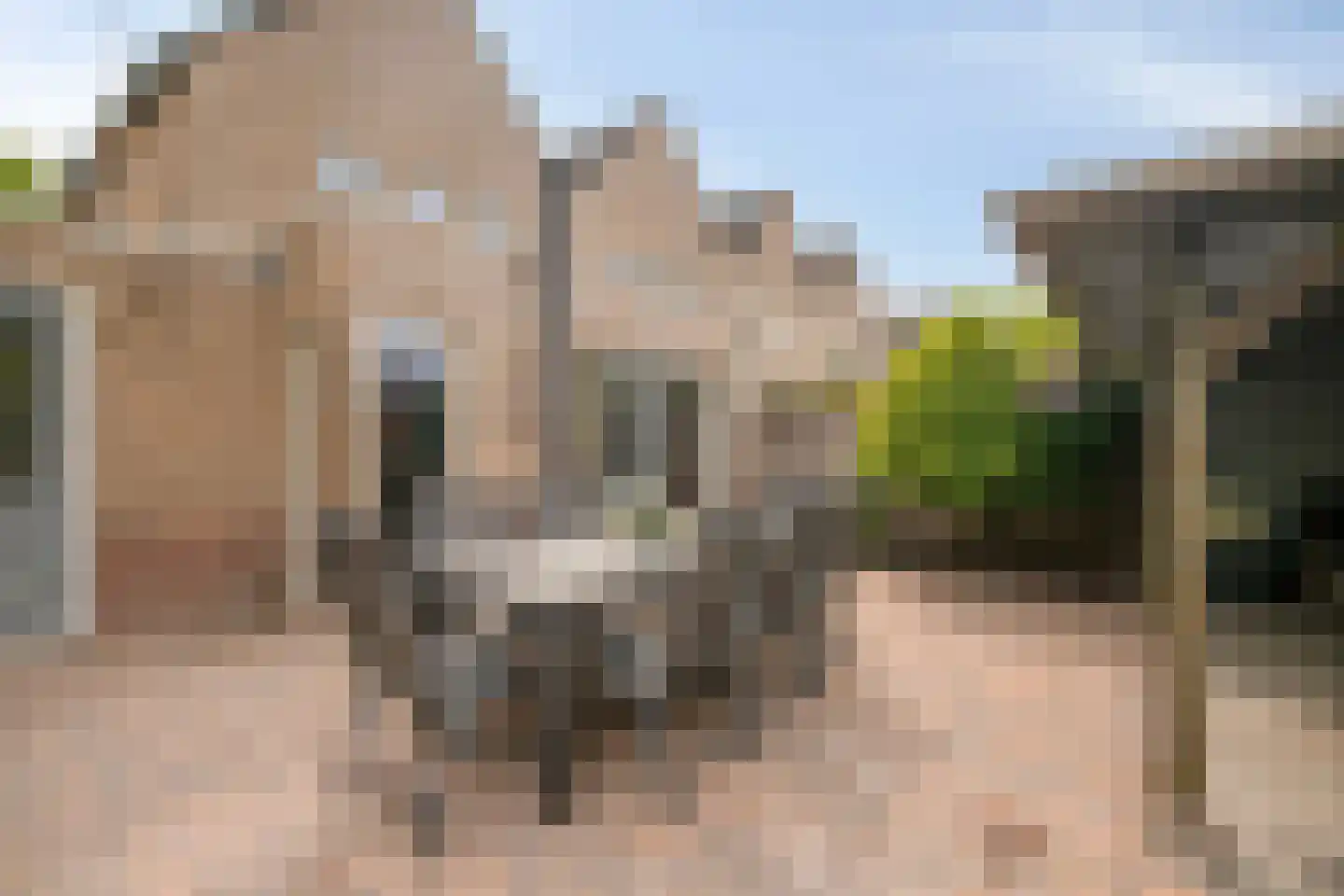 Jansgulden 2 Dronten thumbnail 34