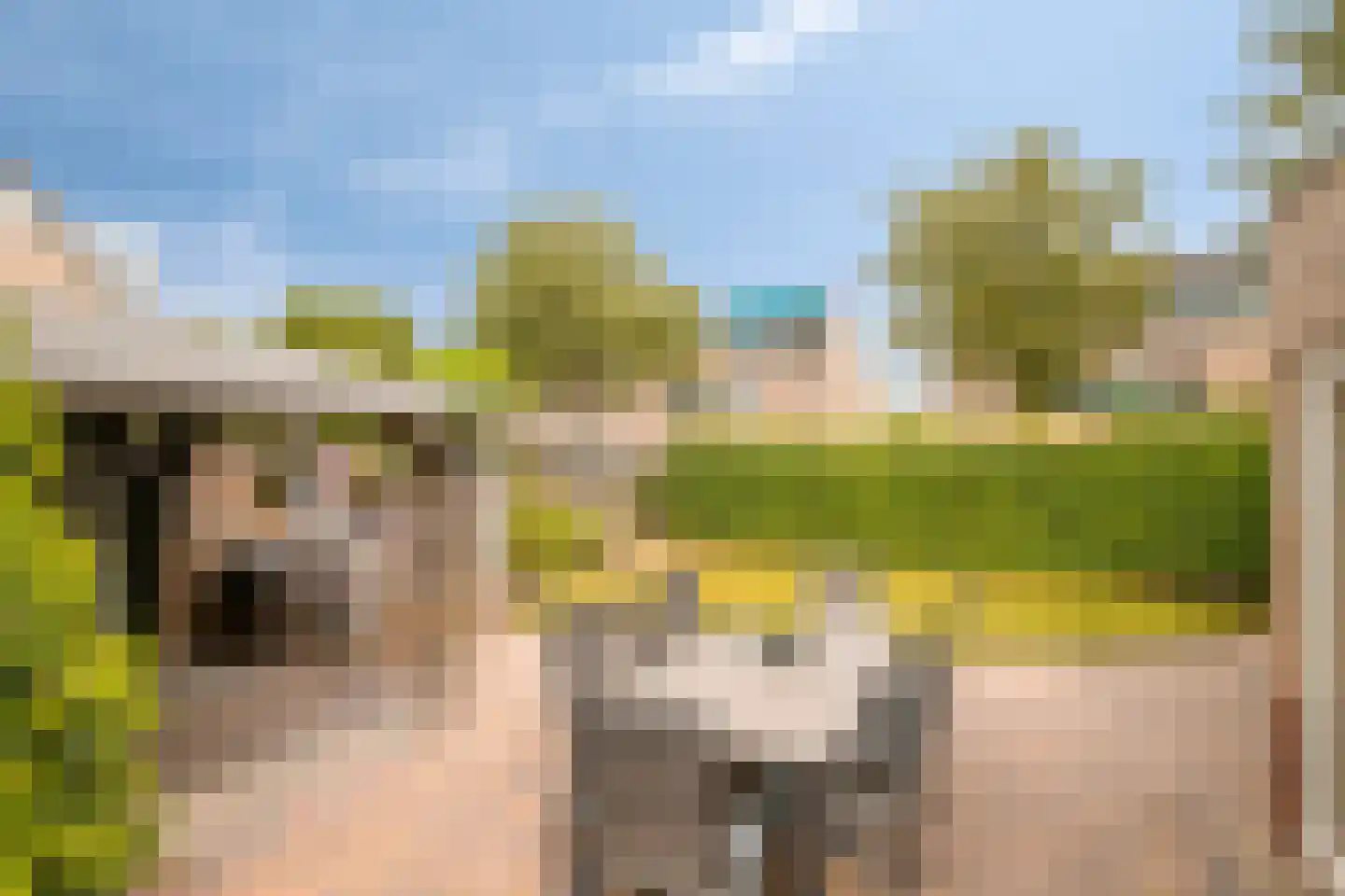 Jansgulden 2 Dronten thumbnail 35