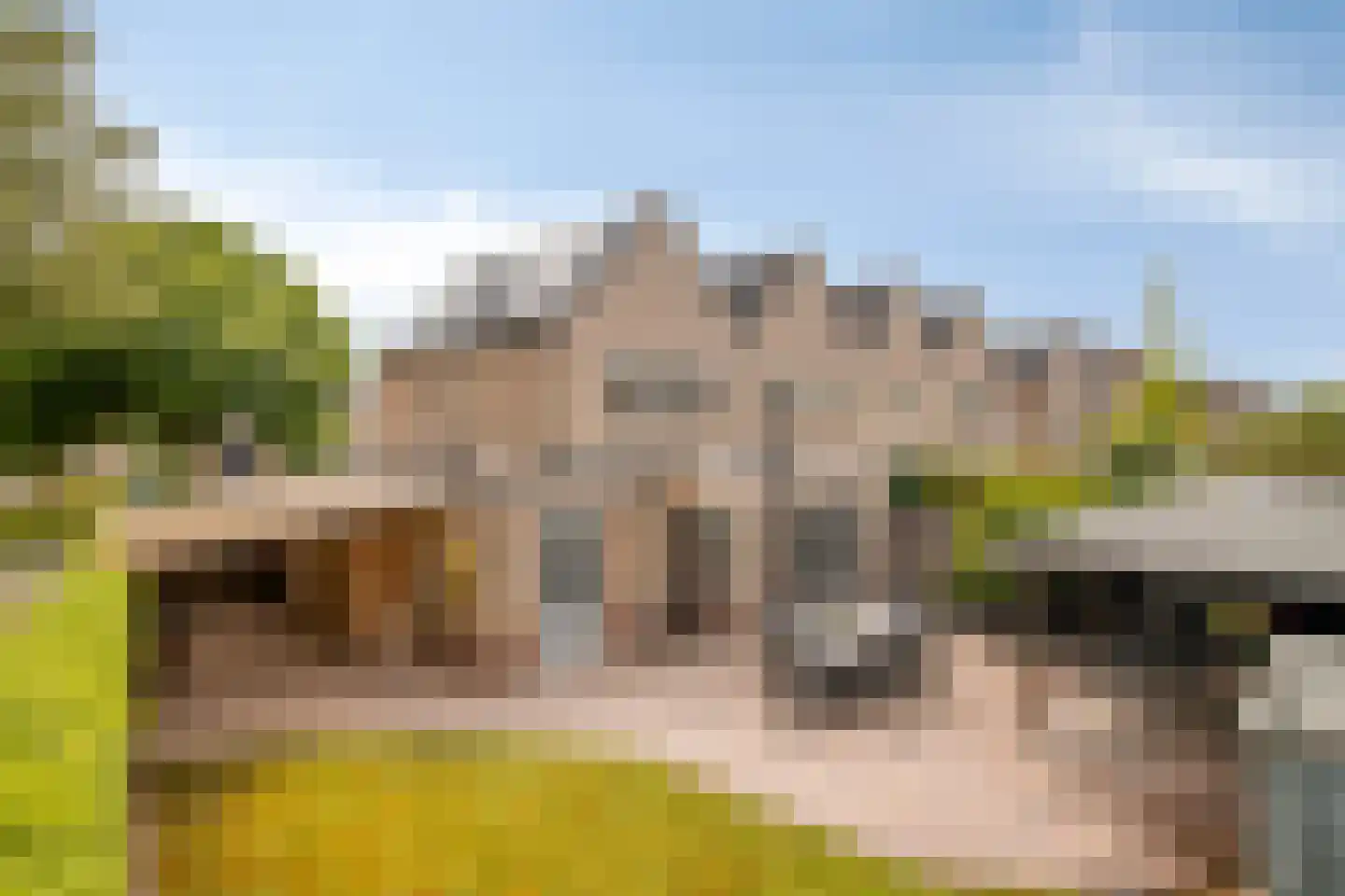 Jansgulden 2 Dronten thumbnail 36