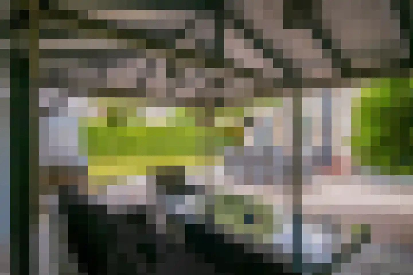 Jansgulden 2 Dronten thumbnail 37