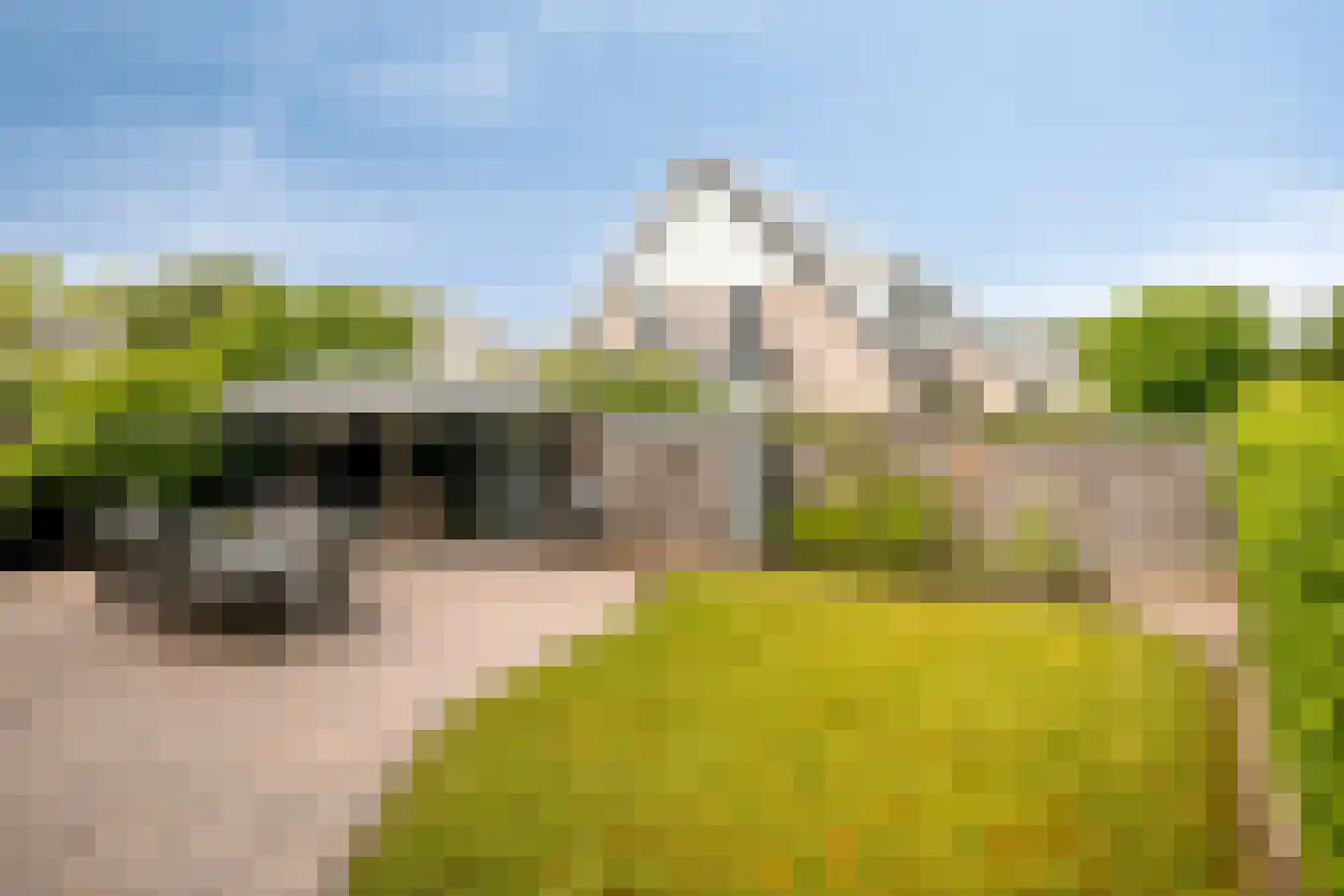 Jansgulden 2 Dronten thumbnail 41