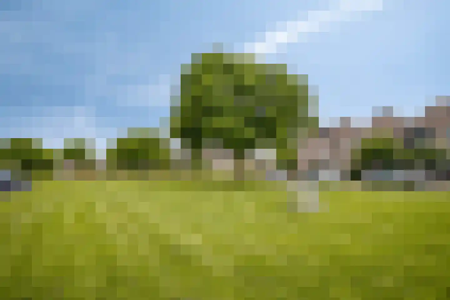 Jansgulden 2 Dronten thumbnail 47