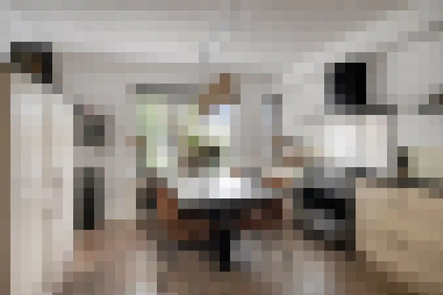 Jansgulden 2 Dronten thumbnail 9