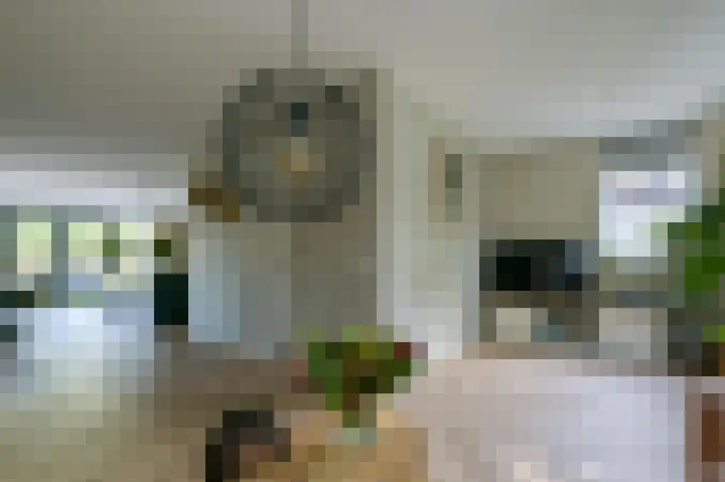 Jansje Rozendaalstraat 3 Putten thumbnail 10