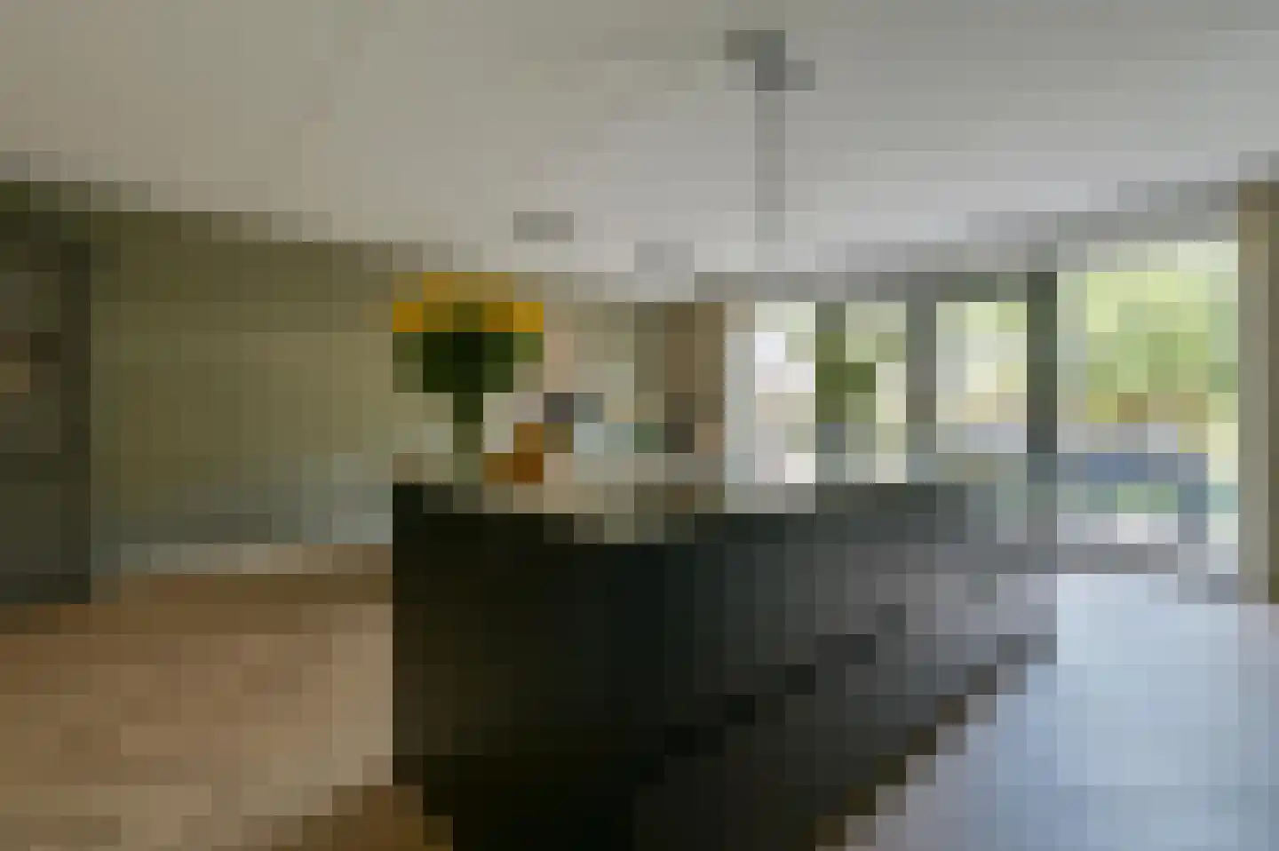Jansje Rozendaalstraat 3 Putten thumbnail 15