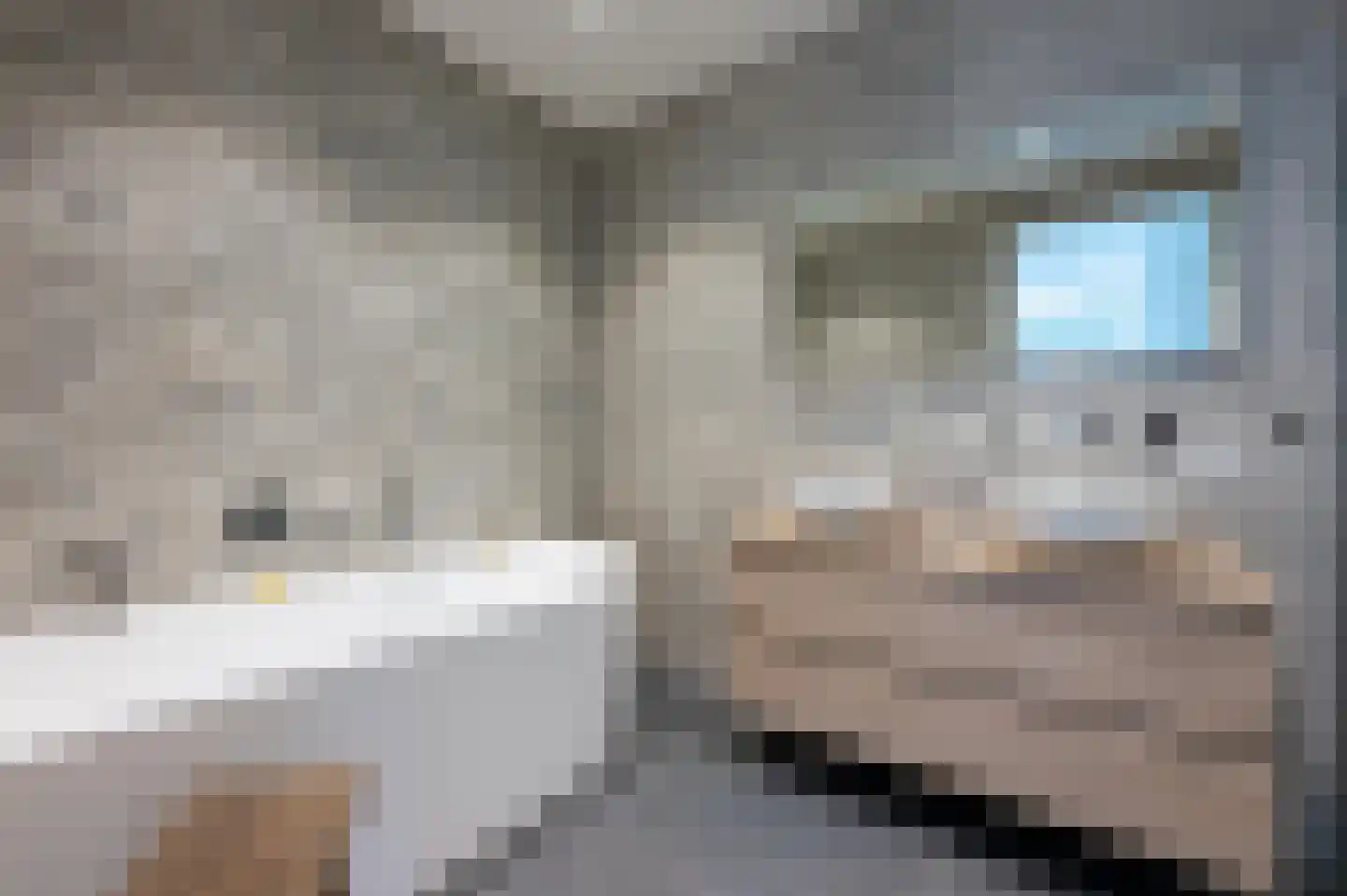 Jansje Rozendaalstraat 3 Putten thumbnail 20
