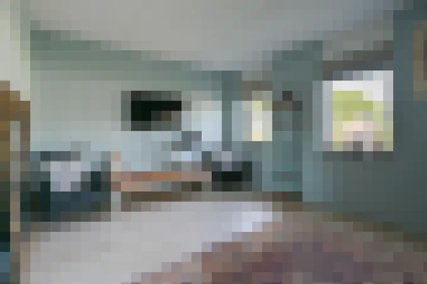 Jansje Rozendaalstraat 3 Putten thumbnail 23