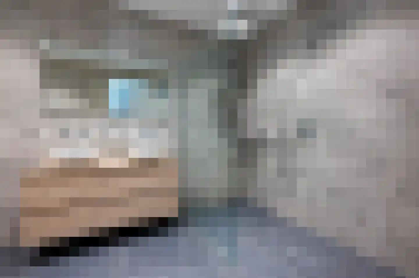 Jansje Rozendaalstraat 3 Putten thumbnail 4