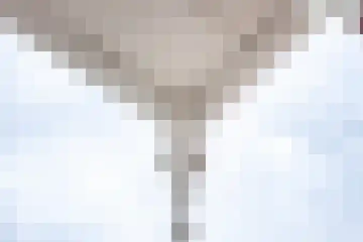 Janskerkhof 25 B Utrecht thumbnail 12