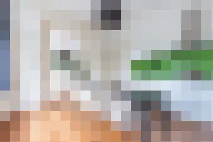 Janskerkhof 25 B Utrecht thumbnail 16