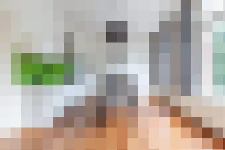 Janskerkhof 25 B Utrecht thumbnail 18