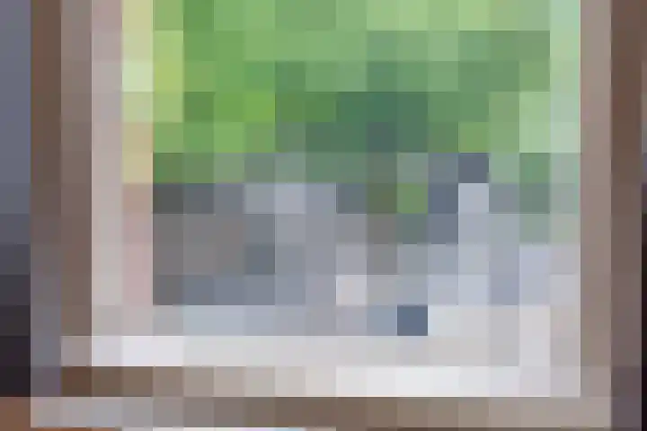 Janskerkhof 25 B Utrecht thumbnail 23