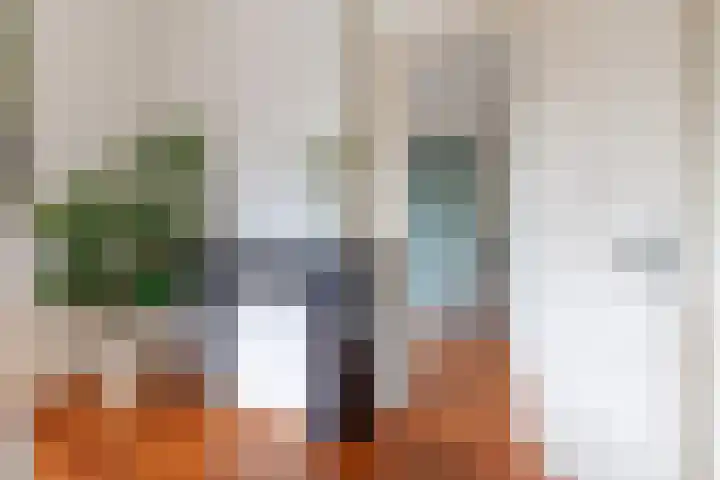 Janskerkhof 25 B Utrecht thumbnail 26