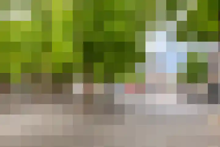 Janskerkhof 25 B Utrecht thumbnail 43